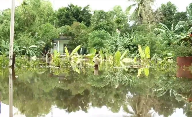 Người dân vùng lũ miền Trung: Nước lên nhanh quá, chúng tôi phải di tản khẩn cấp - Ảnh 3.