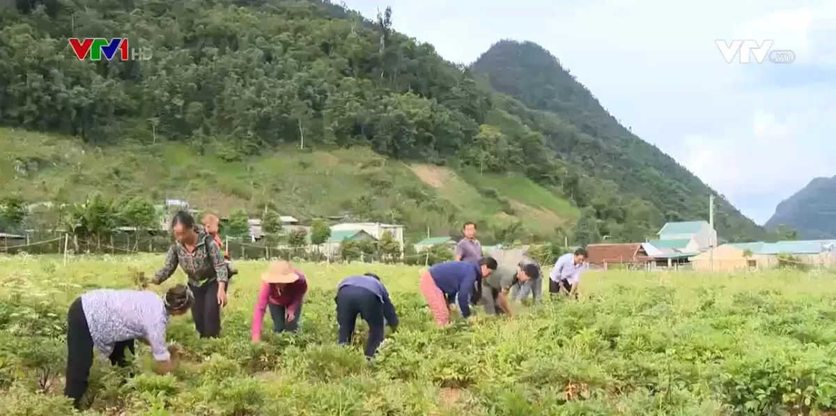 Thoát nghèo bằng việc làm bền vững - Ảnh 1.