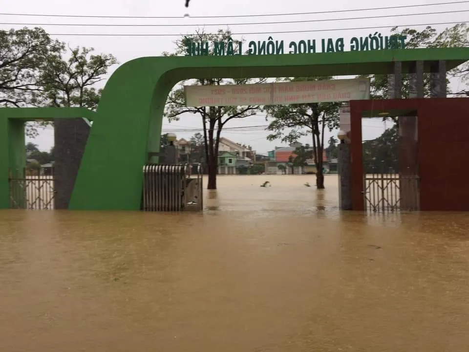 ĐH Huế và ĐH Đà Nẵng được gia hạn thời gian nhập học vì mưa lũ - Ảnh 1.