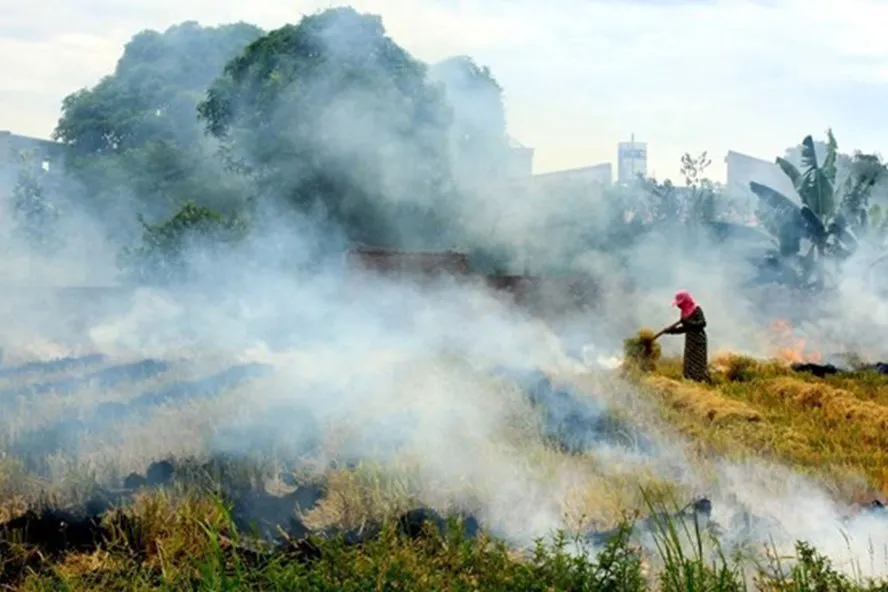 Việt Nam sẽ nhận hơn 51 triệu USD nhờ giảm ph&aacute;t thải - Ảnh 1.