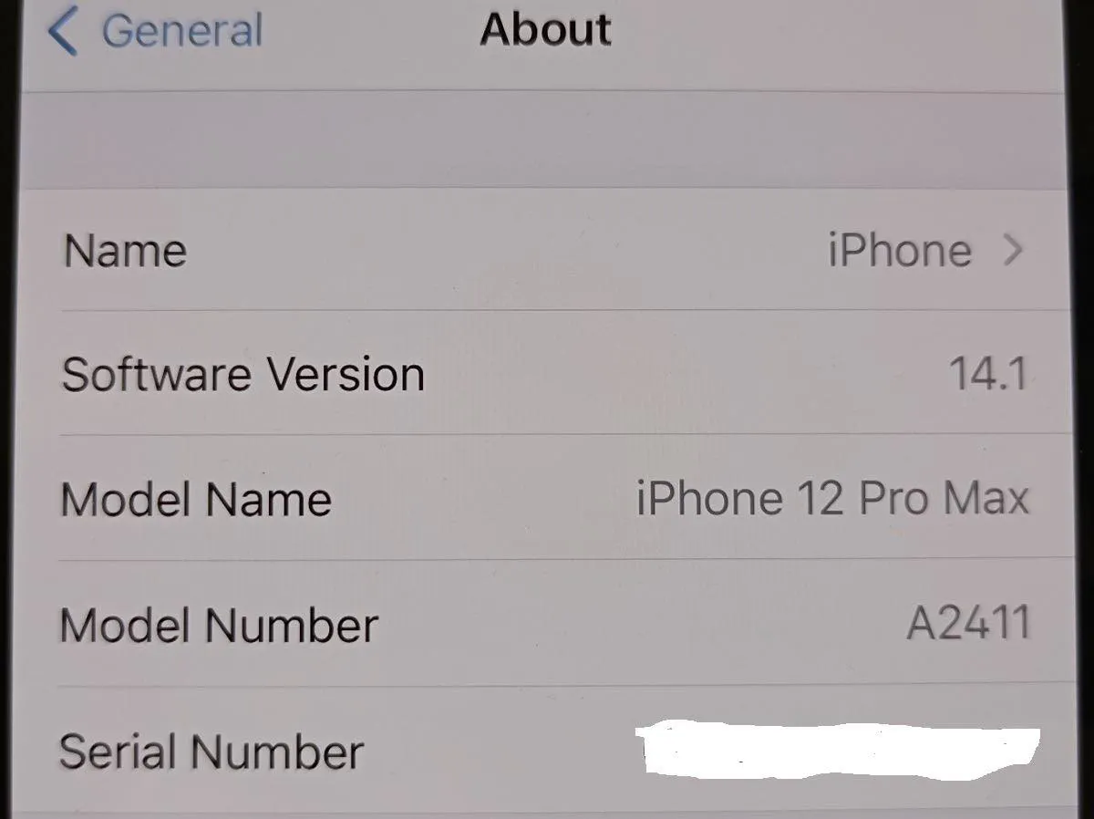 iPhone 12 Pro Max bất ngờ lộ diện tại Việt Nam trước ngày lên kệ - Ảnh 1.