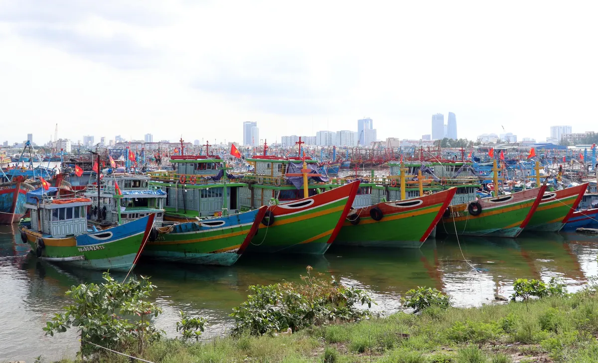 Bão số 9 di chuyển nhanh, gây mưa to đến rất to tại miền Trung - Ảnh 1.