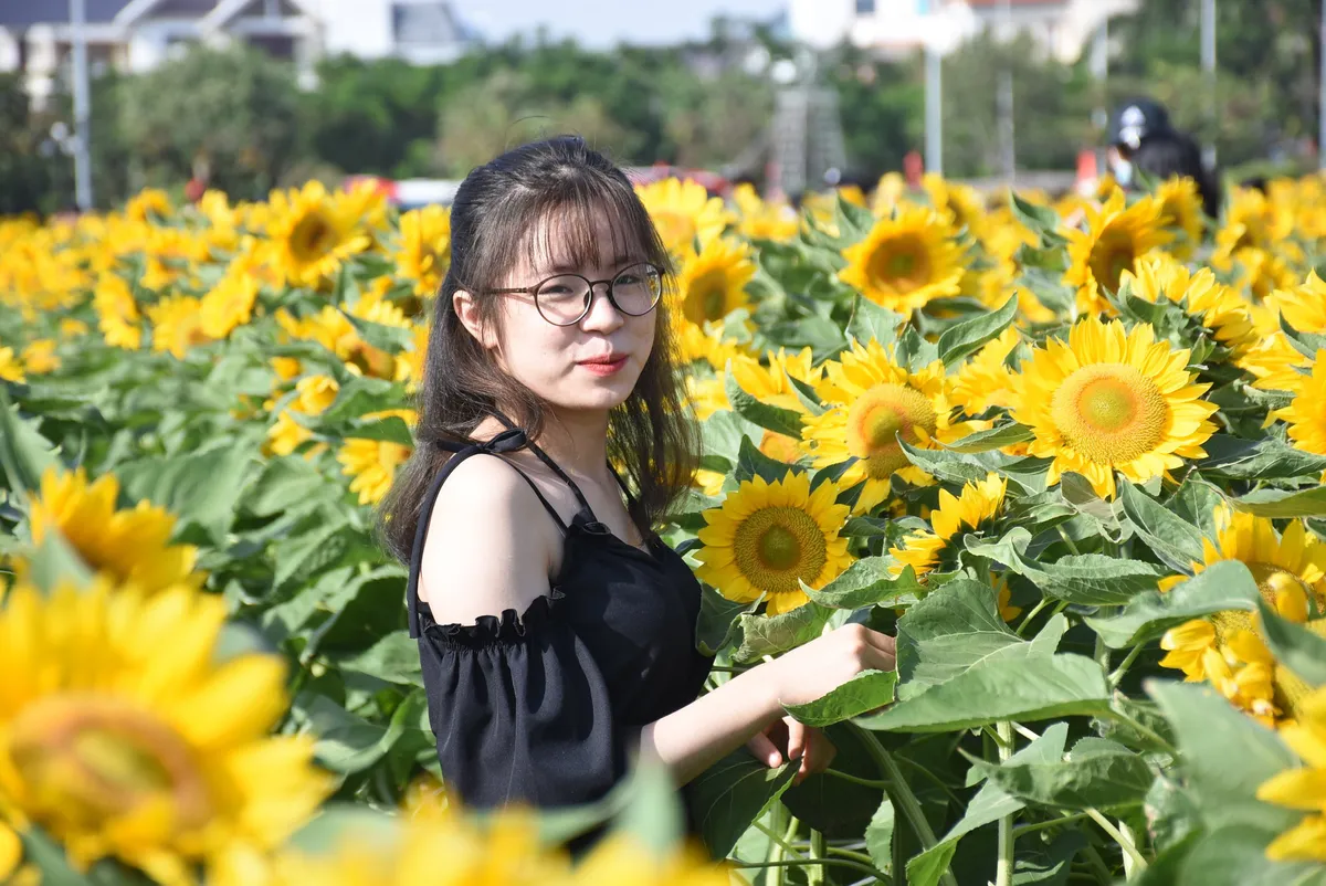 Vườn hướng dương 26.000 bông mở cửa miễn phí đón khách - Ảnh 8.