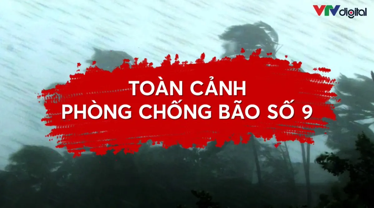 Livestream 24h chống chọi b&atilde;o số 9 (20h10 h&ocirc;m nay) - Ảnh 1.
