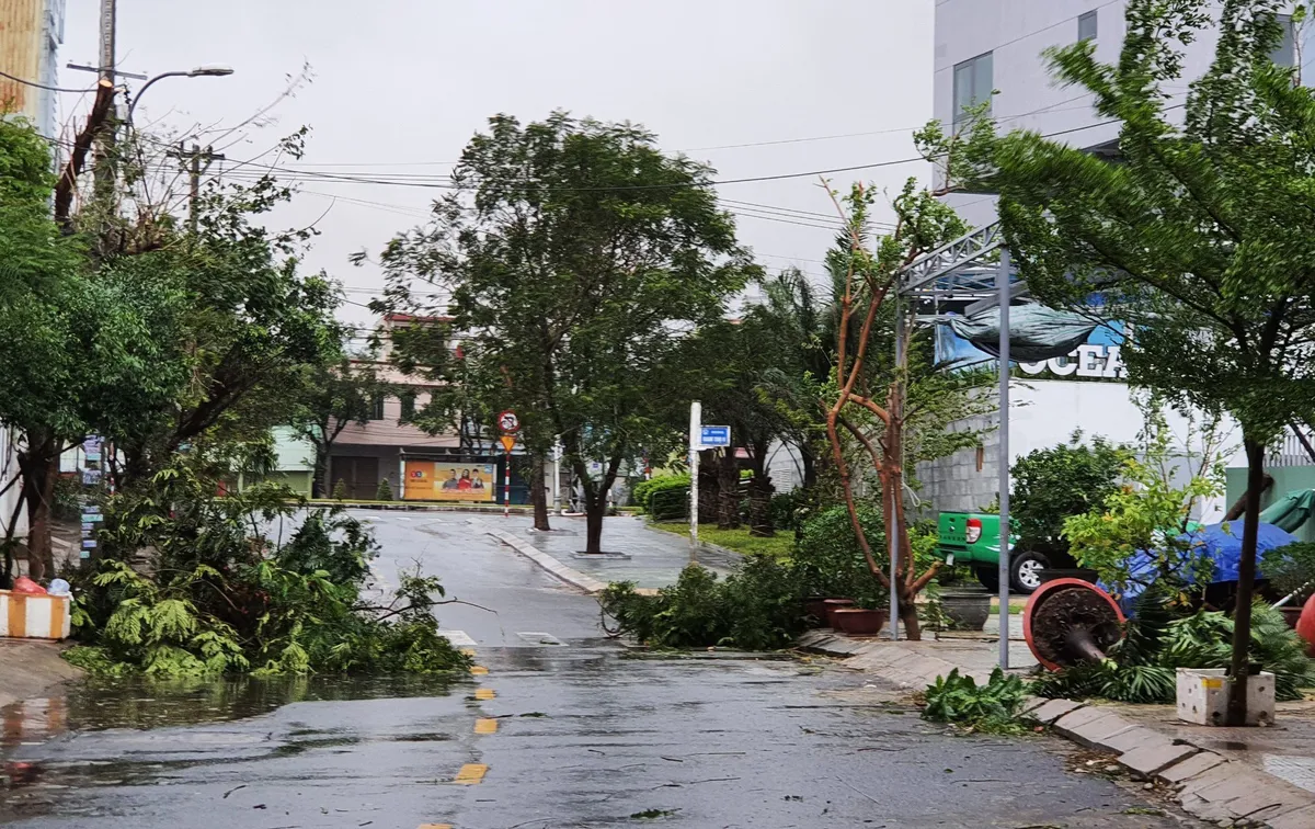 Thành phố Đà Nẵng tan hoang sau bão số 9 - Ảnh 5.