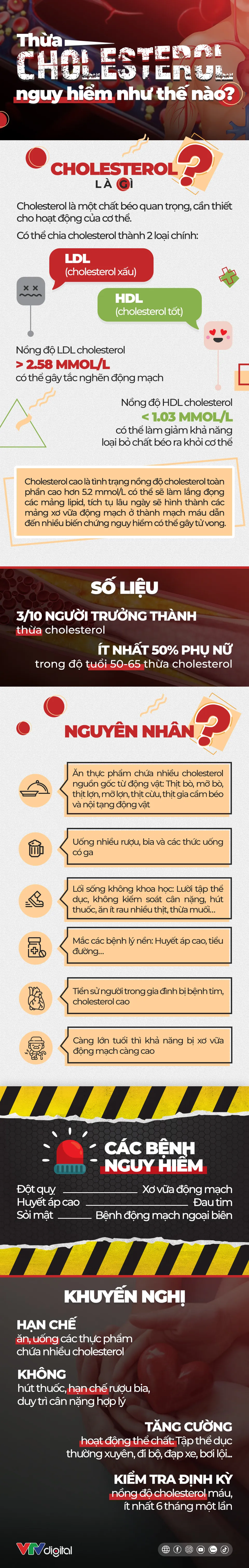 [INFOGRAPHIC] Thừa cholesterol nguy hiểm như thế nào? - Ảnh 1.