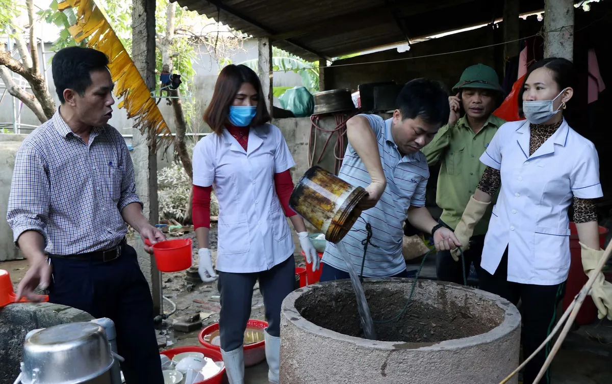 Nước lũ rút, côn trùng, rắn rết bò khắp nơi trong trường học, trạm y tế - Ảnh 1.