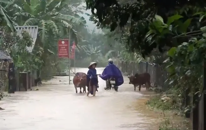 Nước lũ rút, côn trùng, rắn rết bò khắp nơi trong trường học, trạm y tế - Ảnh 5.