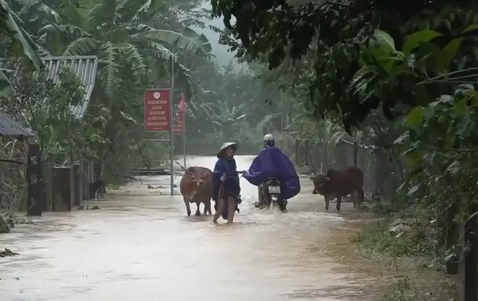 Nước lũ ở Hà Tĩnh lên nhanh, di dời người dân khỏi vùng nguy hiểm - Ảnh 2.