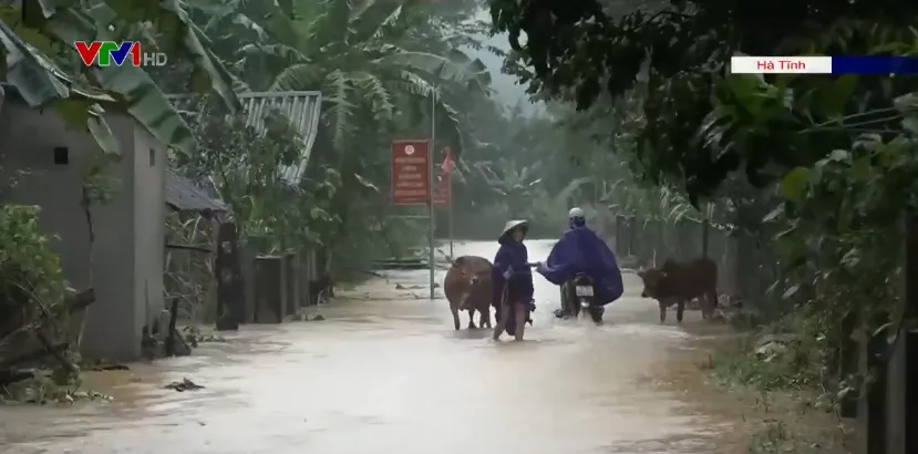 Người dân Hà Tĩnh căng mình ứng phó với mưa lũ trong đêm - Ảnh 3.