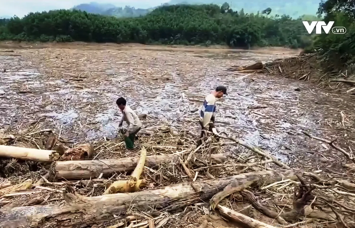 Bất chấp nguy hiểm, người dân vẫn tranh thủ vớt gỗ, đánh cá trong mùa lũ - Ảnh 1.