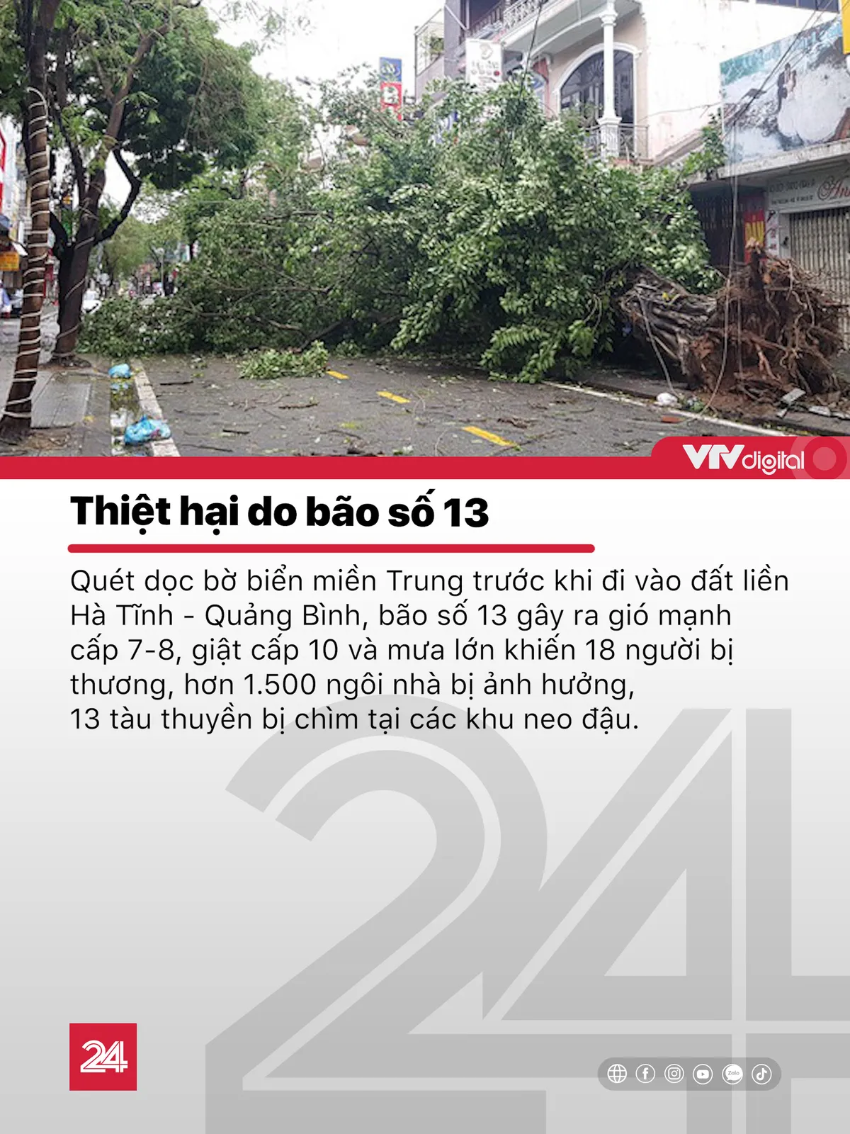 Tin nóng đầu ngày 16/11: Nhiều vật thể có chữ Trung Quốc trôi dạt vào bờ biển Quảng Nam, Quảng Ngãi - Ảnh 3.