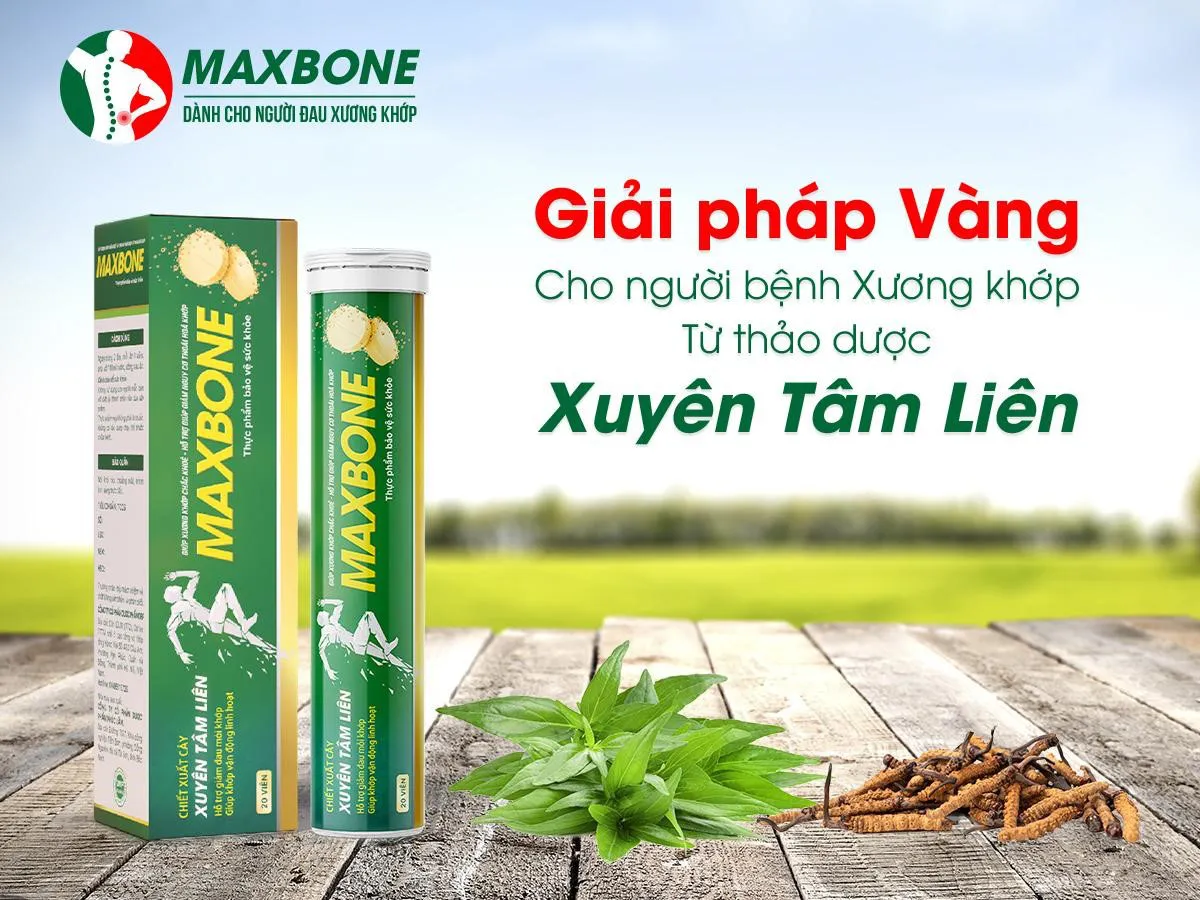 Viên sủi MaxBone - Sự kết tinh hoàn hảo từ cây xuyên tâm liên cùng công nghệ nano hướng đích - Ảnh 2. Viên sủi MaxBone - Sự kết tinh hoàn hảo từ cây xuyên tâm liên cùng công nghệ nano hướng đích - Ảnh 2.