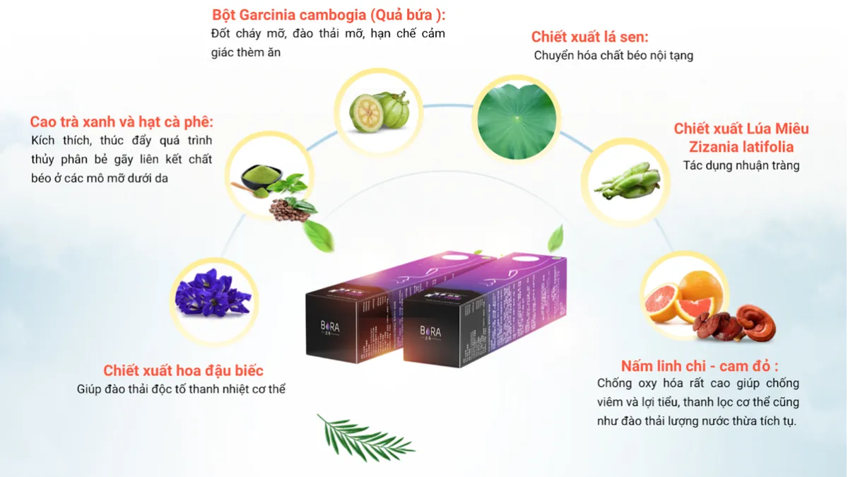 Bora Slim - Sự kết hợp giữa th&agrave;nh phần thi&ecirc;n nhi&ecirc;n v&agrave; c&ocirc;ng nghệ giảm c&acirc;n thế hệ mới - Ảnh 2.