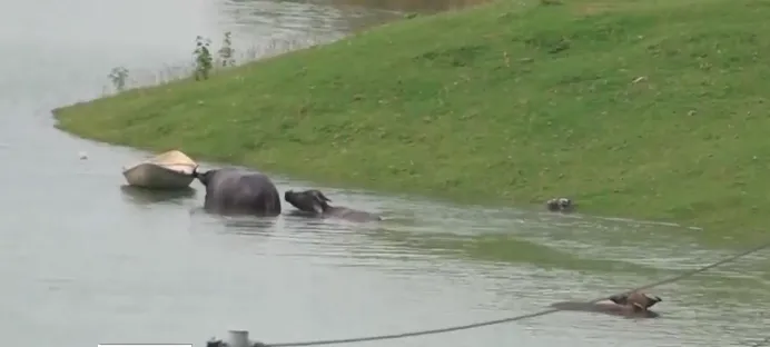  1 năm sau sự cố nước sông Đà nhiễm dầu: Vẫn còn nhiều lỗ hổng - Ảnh 1.