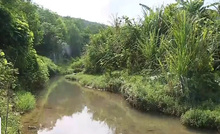  1 năm sau sự cố nước sông Đà nhiễm dầu: Vẫn còn nhiều lỗ hổng - Ảnh 2.