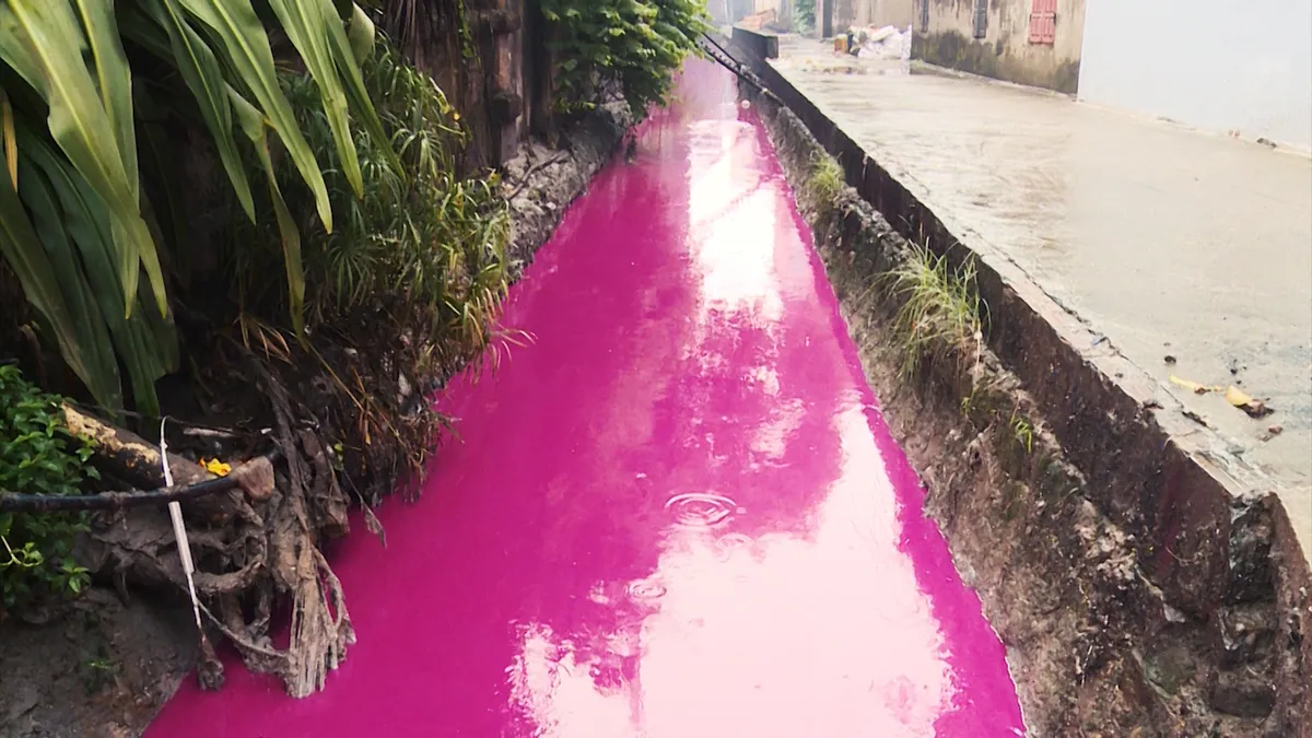 Người g&acirc;y &ocirc; nhiễm phải trả tiền - Khi quy định chỉ nằm tr&ecirc;n giấy! - Ảnh 4.