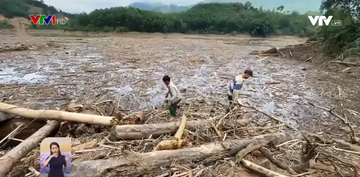 Nguy cơ tai nạn do vớt gỗ trên sông suối sau lũ - Ảnh 1.