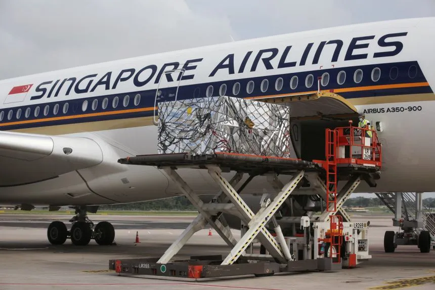 Ngành vận tải và logistics sẵn sàng cho công tác vận chuyển vaccine phòng COVID-19 - Ảnh 1. Ngành vận tải và logistics sẵn sàng cho công tác vận chuyển vaccine phòng COVID-19 - Ảnh 1.