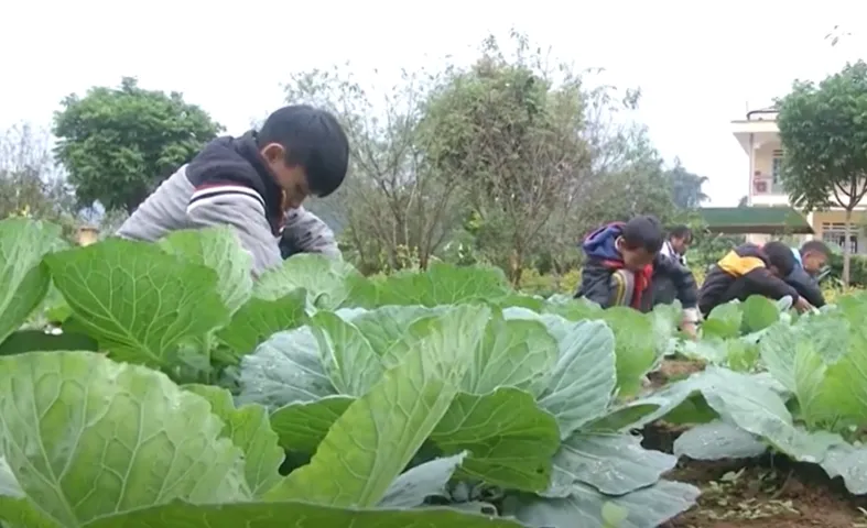 Nâng cao chất lượng bữa ăn bán trú trong những ngày đông rét - Ảnh 1.