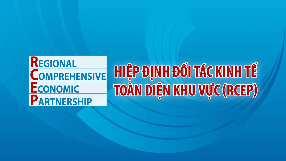 ASEAN 2020: Năm Chủ tịch nhiều dấu ấn kinh tế của Việt Nam - Ảnh 7.