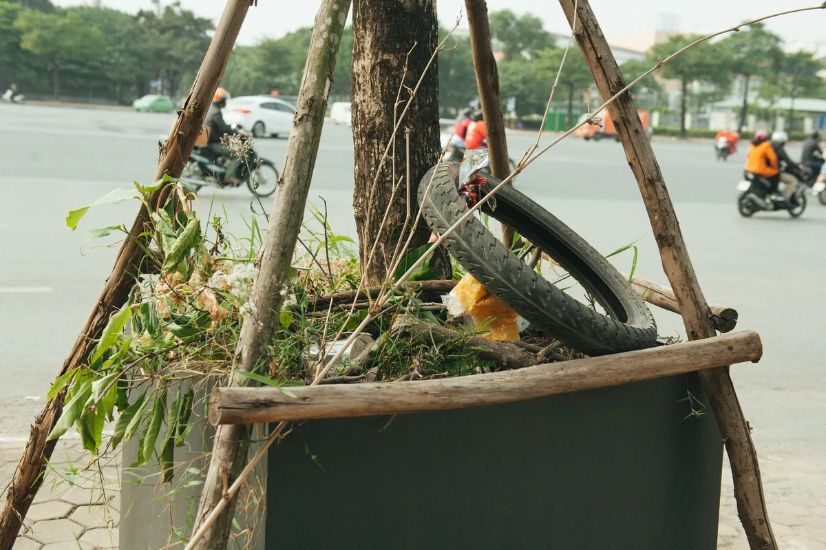 Kỳ lạ trồng cây trong bồn nhựa cao 1 mét trên vỉa hè - Ảnh 10.