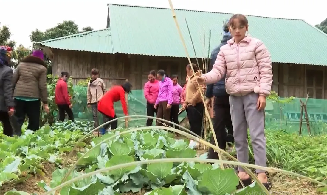 Đẩy mạnh đào tạo nghề tại khu vực miền núi - Ảnh 3.