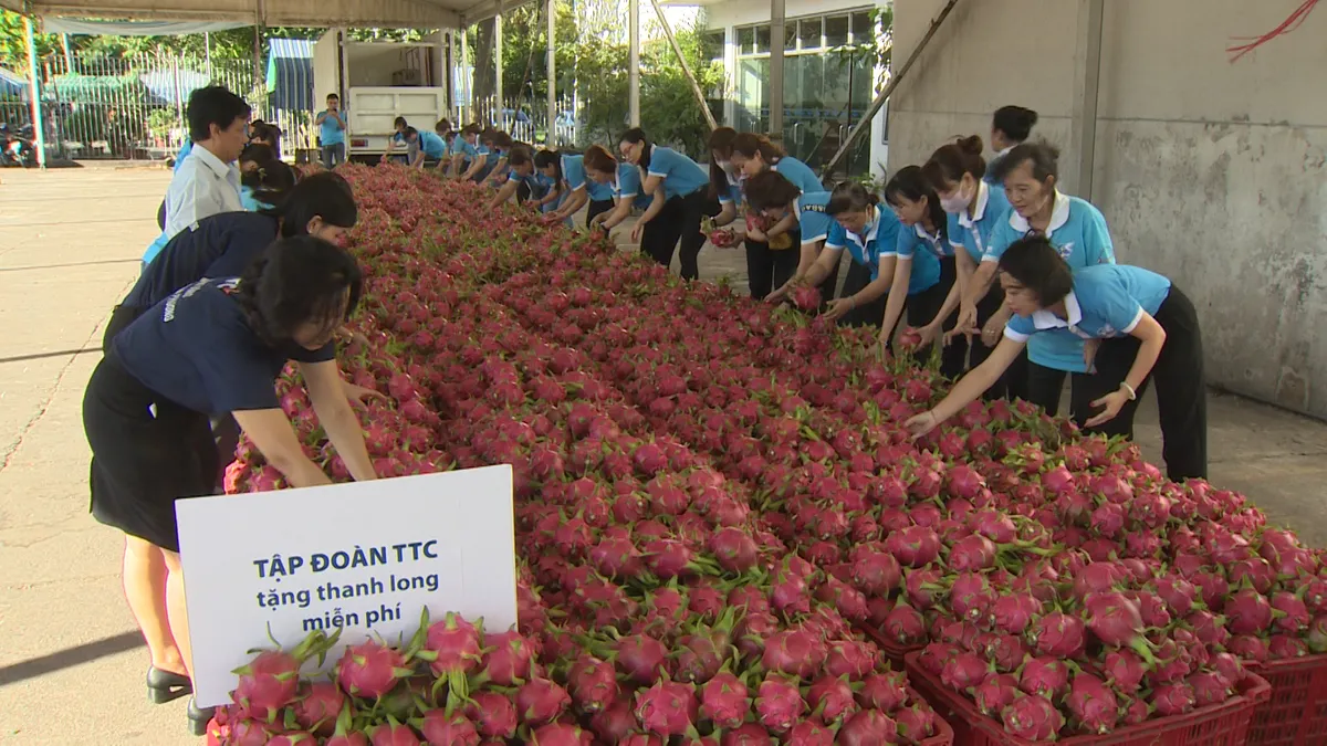 TP.HCM chung tay tiêu thụ thanh long cho nông dân