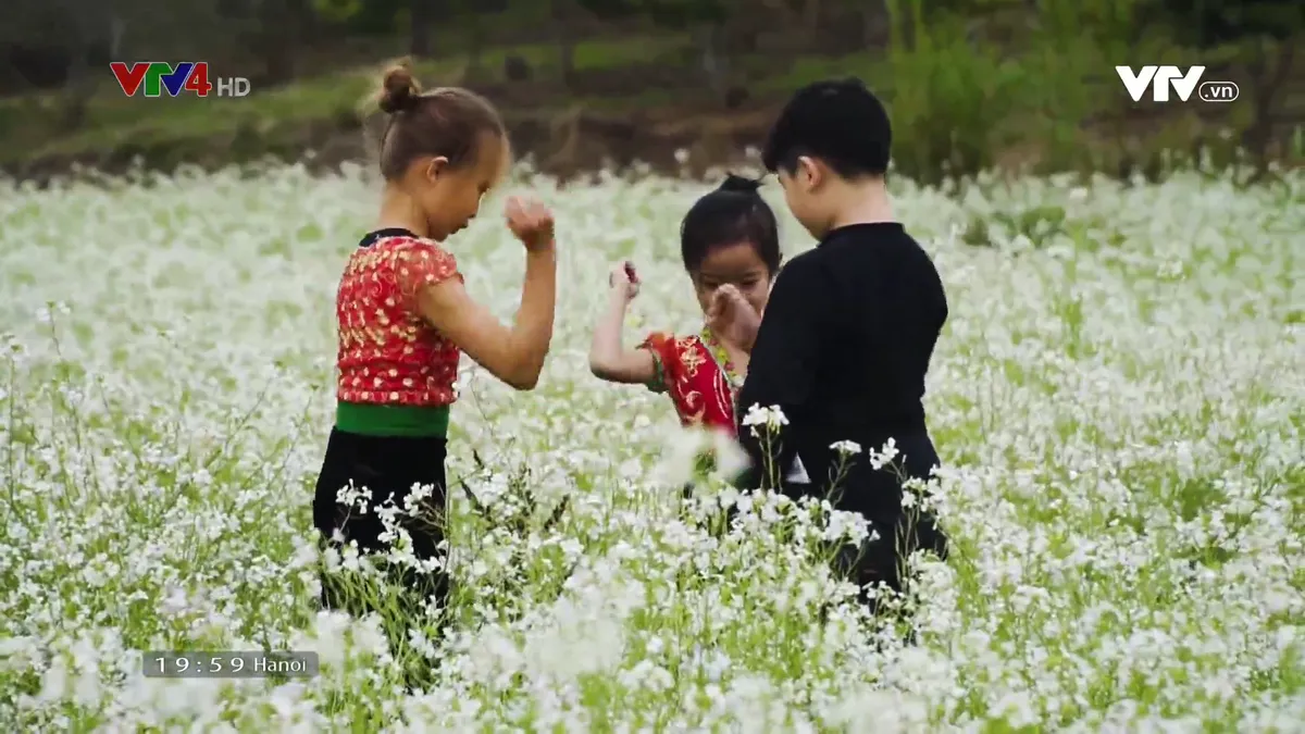 Tan chảy trước cánh đồng hoa cải trắng bạt ngàn ở Mộc Châu - Ảnh 1.