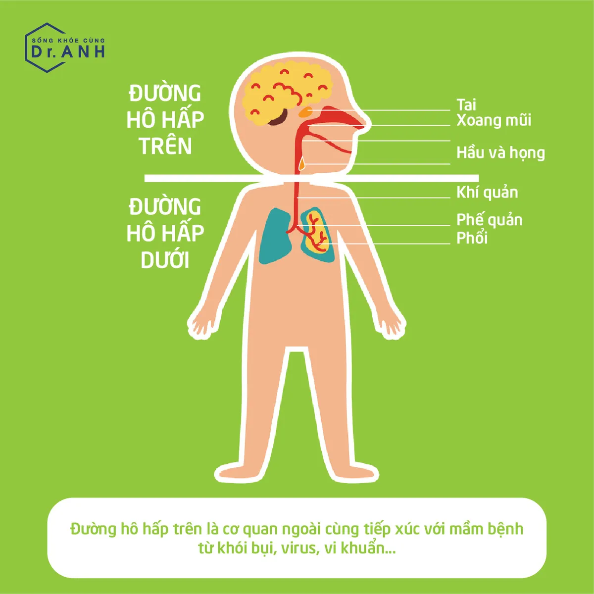 Hiểu đúng về viêm đường hô hấp trên của trẻ để xử lý đúng cách - Ảnh 1.