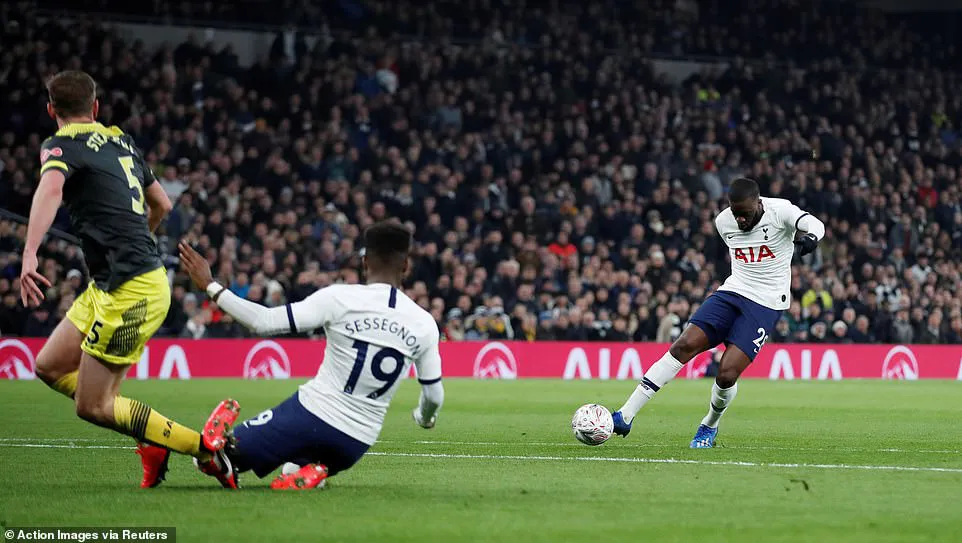 Thắng kịch tính Southampton, Tottenham giành quyền vào vòng 5 cúp FA - Ảnh 2. Thắng kịch tính Southampton, Tottenham giành quyền vào vòng 5 cúp FA - Ảnh 2.