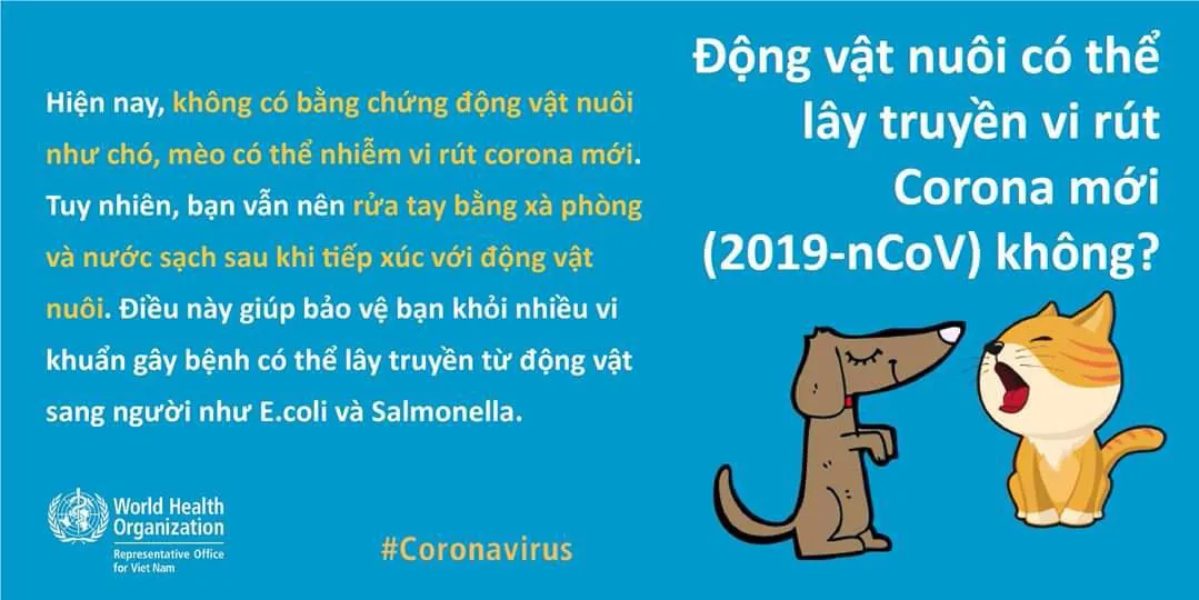 Virus nCoV 2019 nguy hiểm như thế nào? - Ảnh 2.