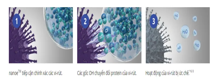 Bên cạnh 2019-nCoV, không nên chủ quan với các virus gây bệnh khác - Ảnh 1.