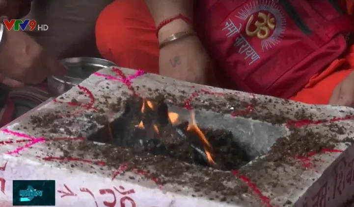 Uống... nước tiểu b&ograve; để tẩy bệnh COVID-19 tại Ấn Độ - Ảnh 1.