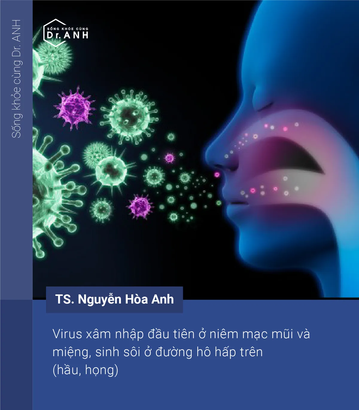 Cách ngăn cản virus xâm nhiễm, bảo vệ đường hô hấp bằng bào tử lợi khuẩn - Ảnh 3.