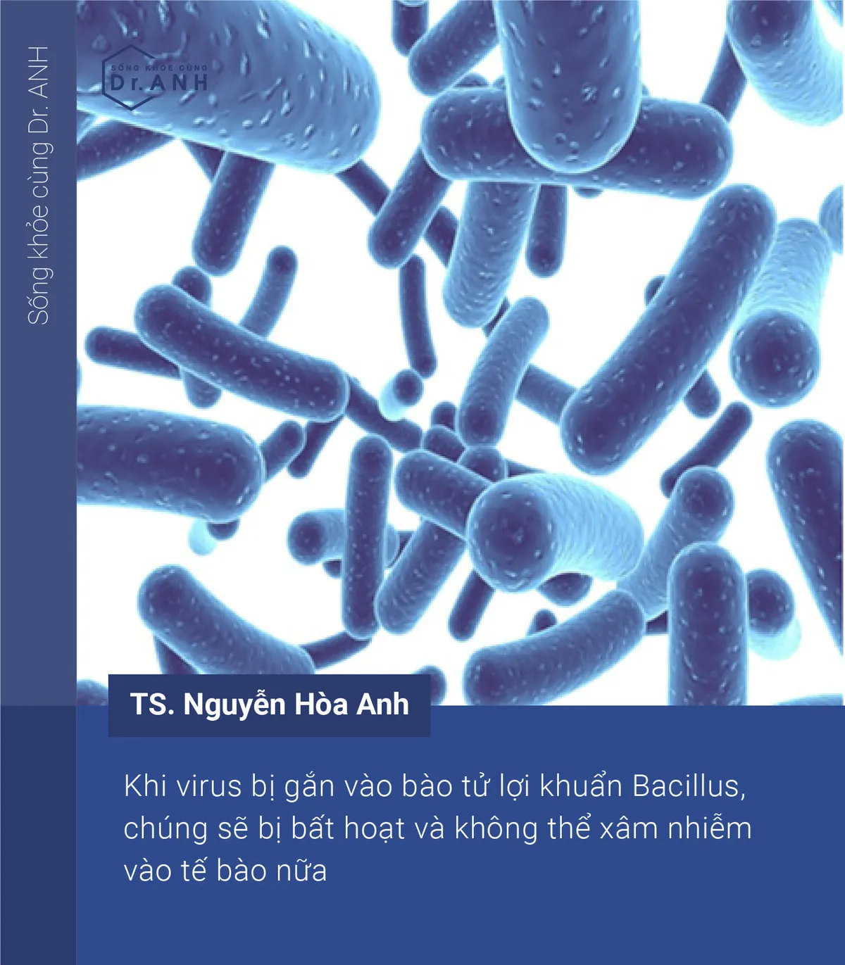 Cách ngăn cản virus xâm nhiễm, bảo vệ đường hô hấp bằng bào tử lợi khuẩn - Ảnh 5.