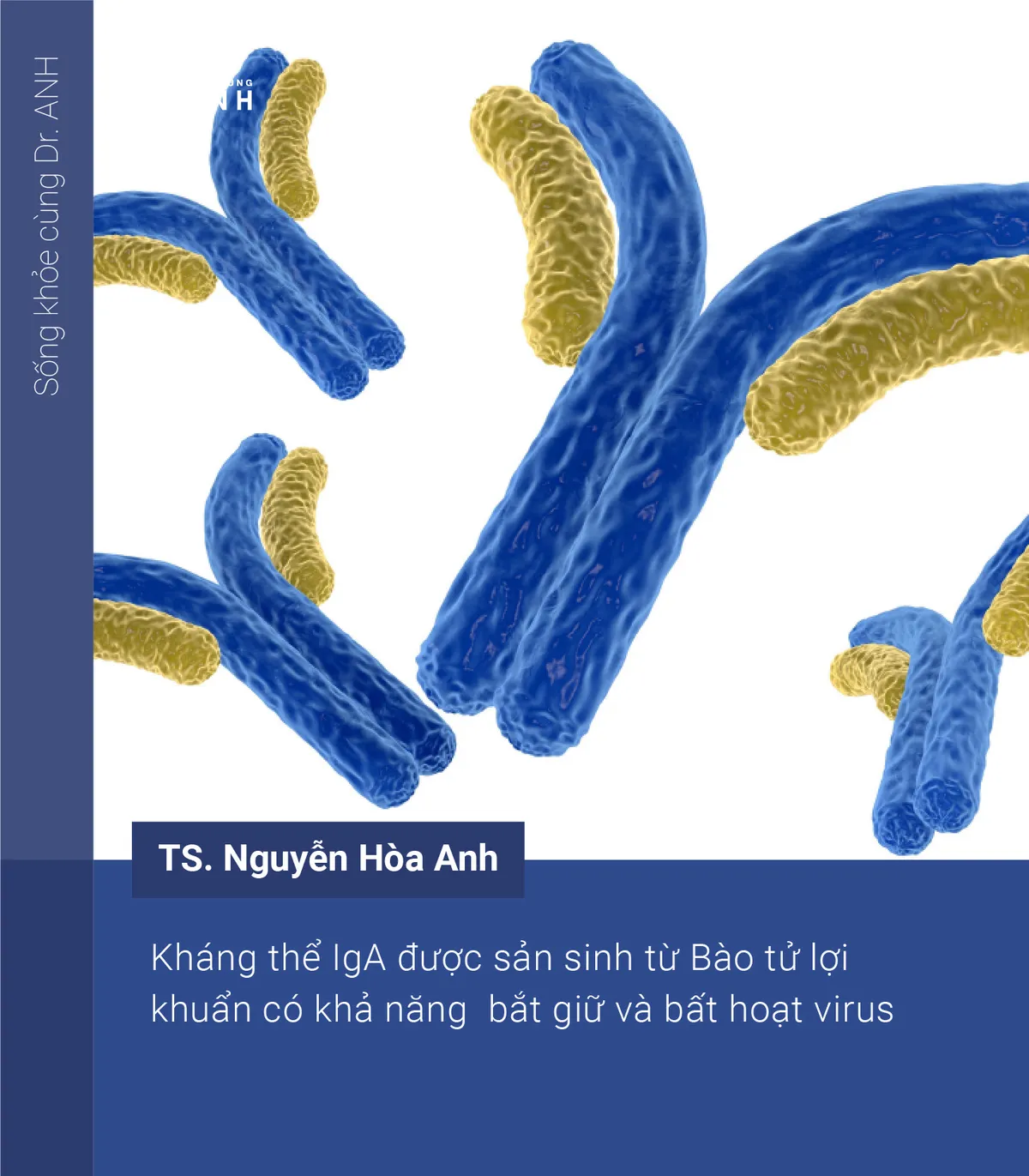 Cách ngăn cản virus xâm nhiễm, bảo vệ đường hô hấp bằng bào tử lợi khuẩn - Ảnh 4.