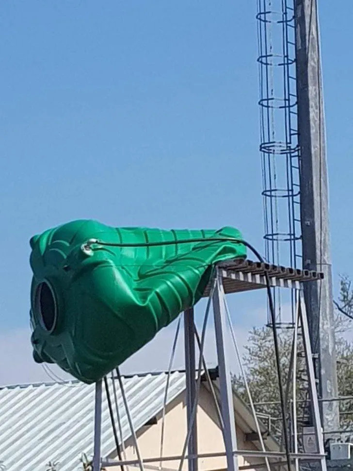 Ấn tượng với những h&igrave;nh ảnh kỳ th&uacute; của thi&ecirc;n nhi&ecirc;n - Ảnh 12.