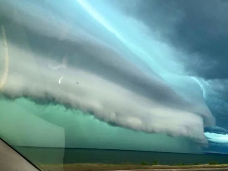 Ấn tượng với những h&igrave;nh ảnh kỳ th&uacute; của thi&ecirc;n nhi&ecirc;n - Ảnh 4.