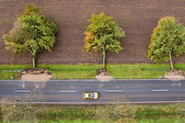 Ấn tượng với những h&igrave;nh ảnh kỳ th&uacute; của thi&ecirc;n nhi&ecirc;n - Ảnh 5.