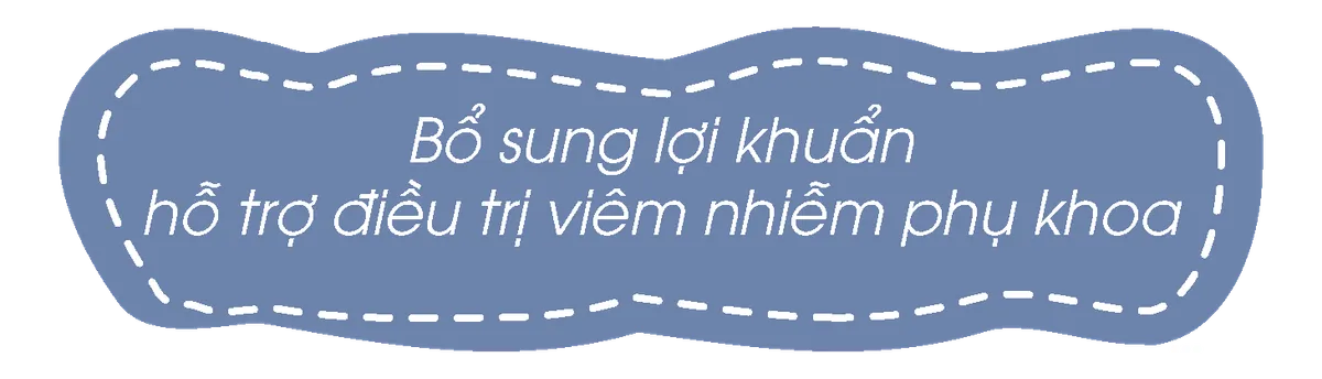 Dấu hiệu nhận biết bệnh viêm nhiễm phụ khoa trong thời kỳ mang thai - Ảnh 4.