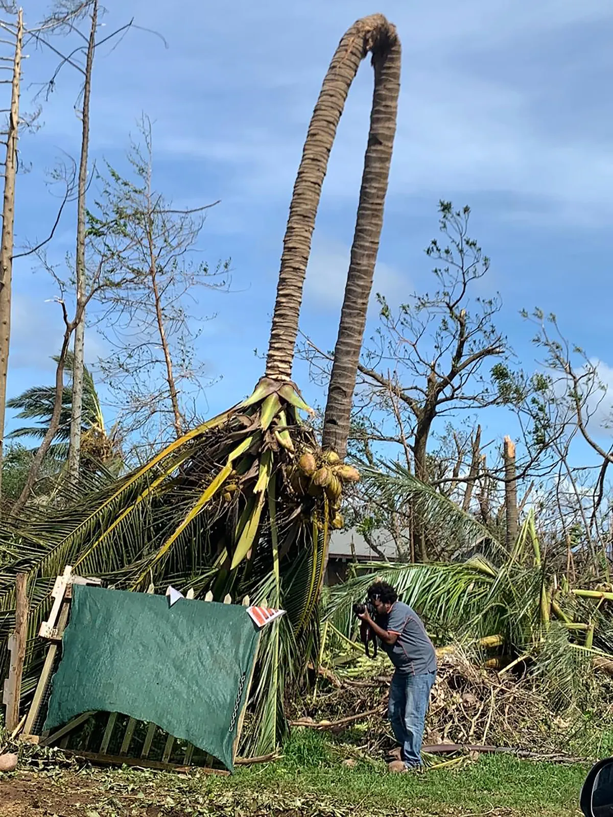 Bão Harold đổ bộ vào Fiji - Ảnh 1.