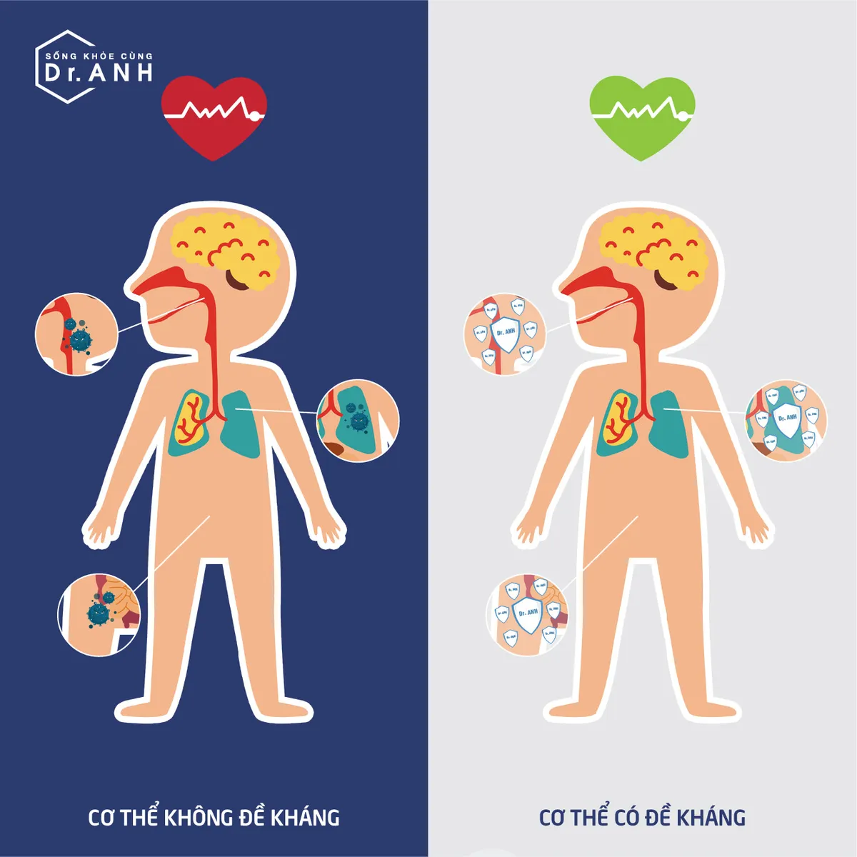 Sử dụng Bào tử lợi khuẩn Bacillus giúp tăng cường đề kháng đa kênh - Ảnh 2.