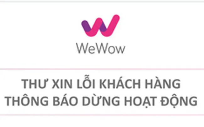 Từ start-up triệu đô, vì sao WeFit phải đường cùng tuyên bố phá sản? - Ảnh 3.