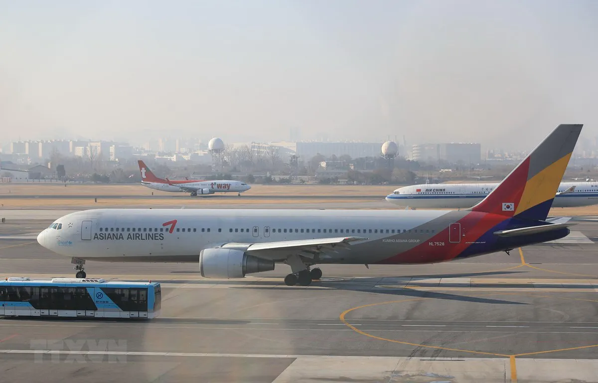 Hãng Asiana sẽ nối lại 13 tuyến bay quốc tế vào tháng 6 - Ảnh 1.