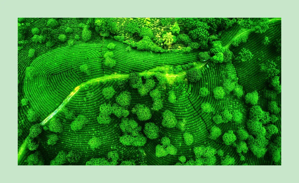 Đẹp mê mẩn cảnh đẹp Việt Nam từ trên cao - Ảnh 4.