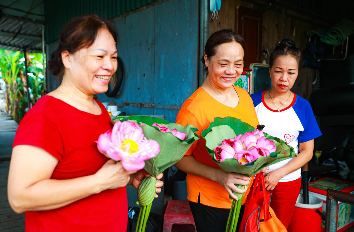 Sen Hồ Tây vào mùa, rực rỡ khoe sắc khắp phố phường Hà Nội  - Ảnh 14.