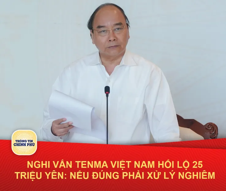 Thủ tướng chỉ đạo làm rõ nghi vấn hối lộ của công ty Nhật - Ảnh 1.