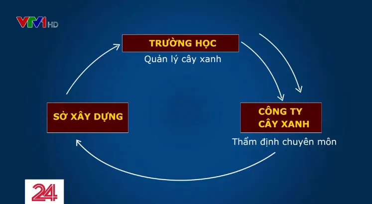 Ai quản lý cây xanh trong trường học: Nhập nhằng câu trả lời! - Ảnh 2.