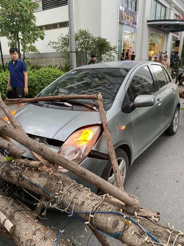 Hà Nội: Cây xanh bật gốc đè trúng ô tô đang chạy trên đường - Ảnh 1.